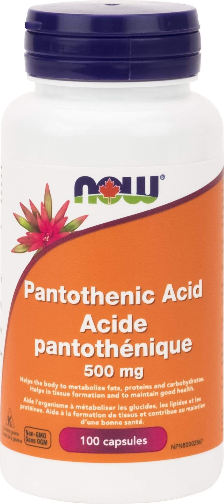 NOW Pantothenic Acid 500mg