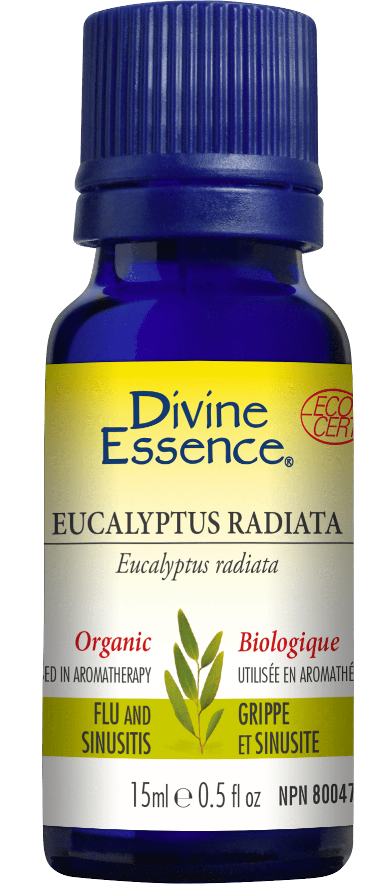 Divine Essence Rosemary Cineole Type 15 ml