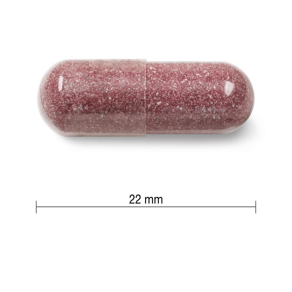 Jamieson Maximum Concentrate Cranberry Complex 500 mg 60 Capsules