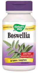 네이처스 웨이 보스웰리아 표준화 60정