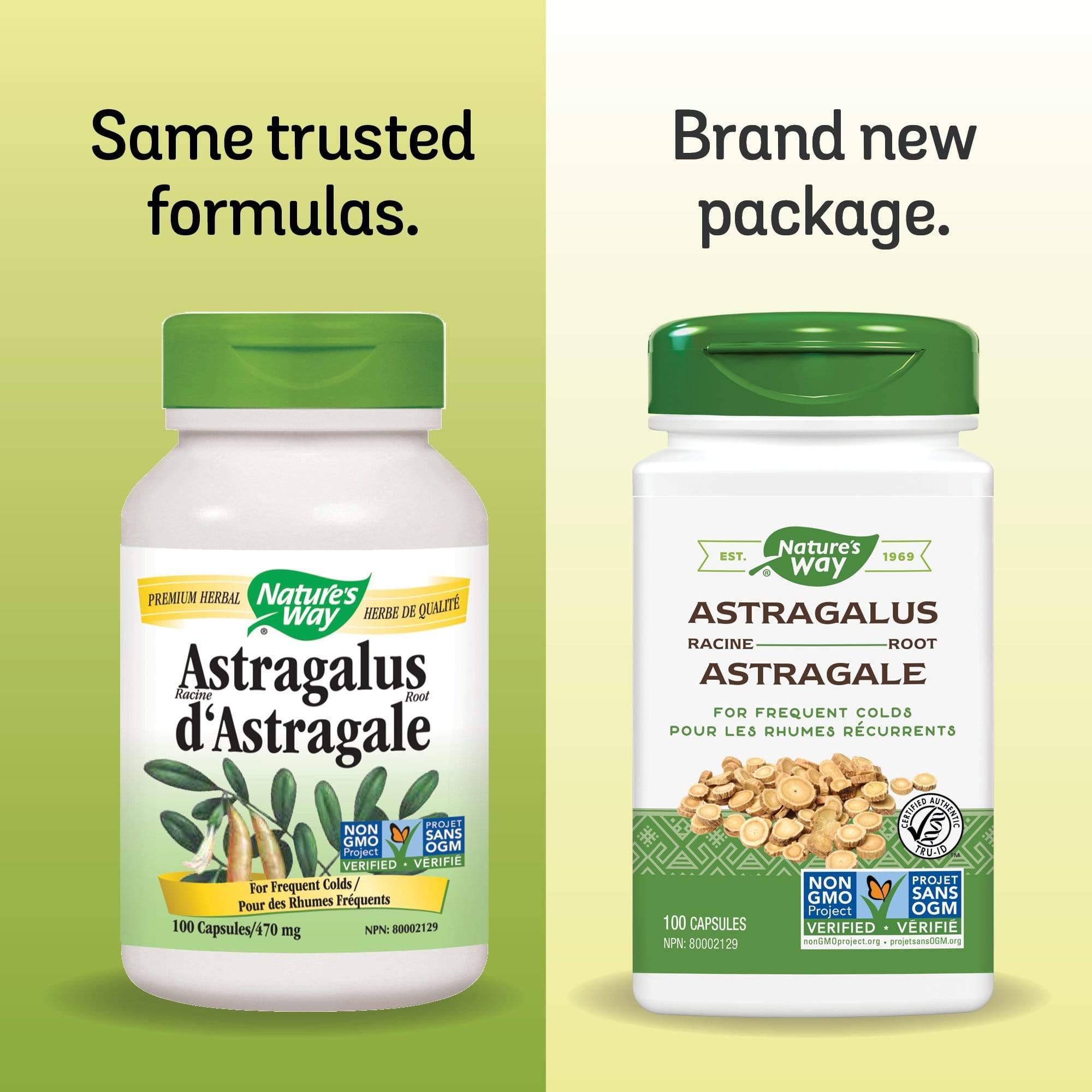 Nature's Way Astragalus Root