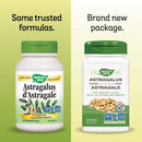 자연의 길 황기 뿌리