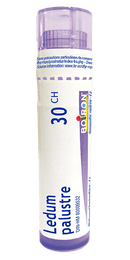 بويرون ليدوم بالستر 30ch