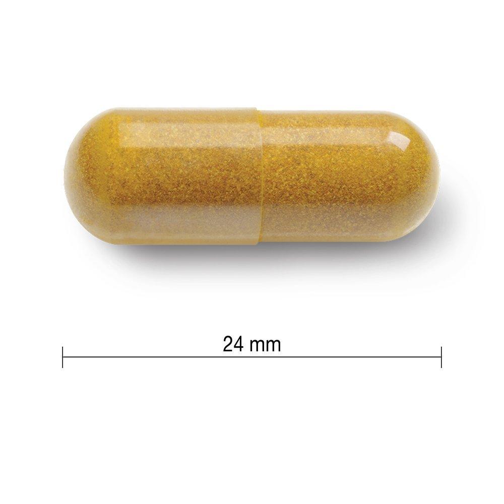 Jamieson Curcumin Turmeric 550mg 60 Capsules