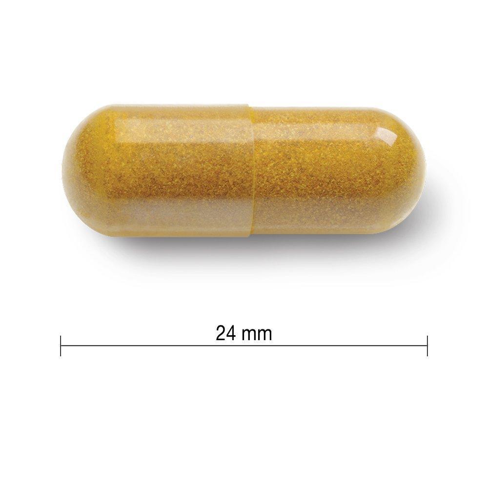 Jamieson Curcumin Turmeric 550mg 60 Capsules