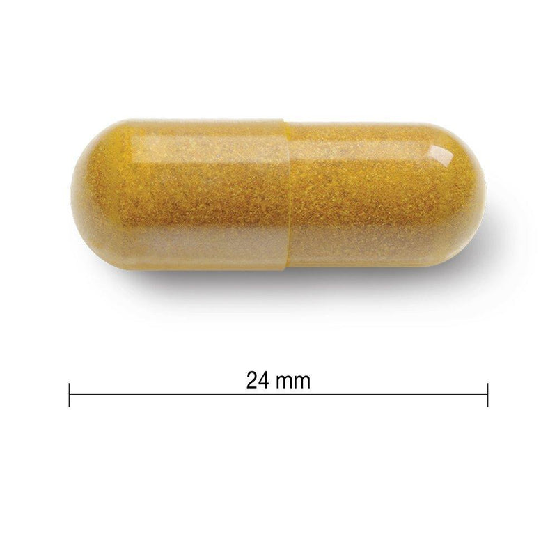 Jamieson Curcumin Turmeric 550mg 60 Capsules