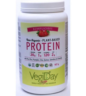 VegiDay Raw Organic Plant Based Protein Berrylicious