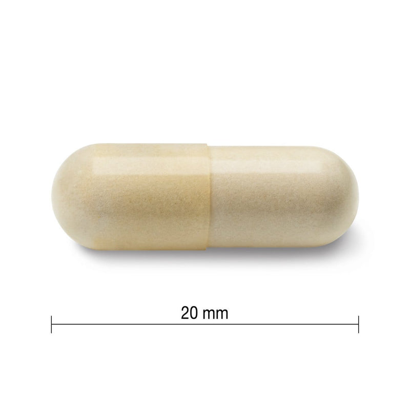 Jamieson Glucosamine 500 mg 360 Capsules