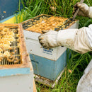 Manuka Health, Manuka Honey & Lemon, MGO 400+, 65g Lozenges (15 Servings)