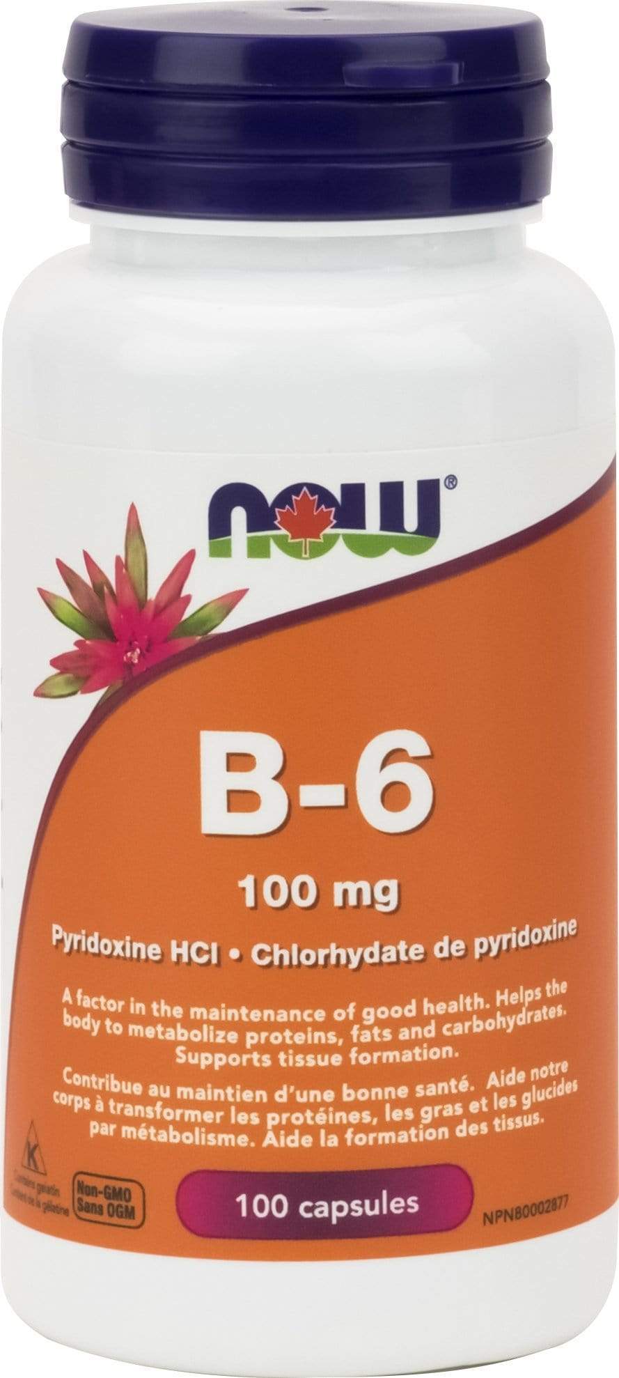 NOW Vitamin B-6 100mg 100 Capsules