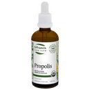 세인트 프랜시스 허브팜 프로폴리스 100ml