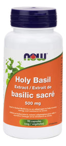 NOW مستخلص الريحان المقدس 500 mg