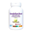 جذور جديدة: جذر الهندباء والكرفس