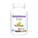 مخلب الأرز الموليبدينوم الجذور الجديدة