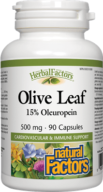 Natural Factors Olive Leaf Extract