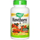 네이처스 웨이 호손