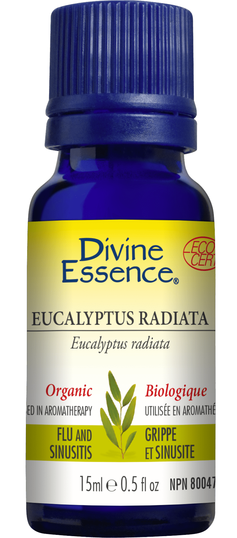 Divine Essence Eucalyptus Radiata 15 ml