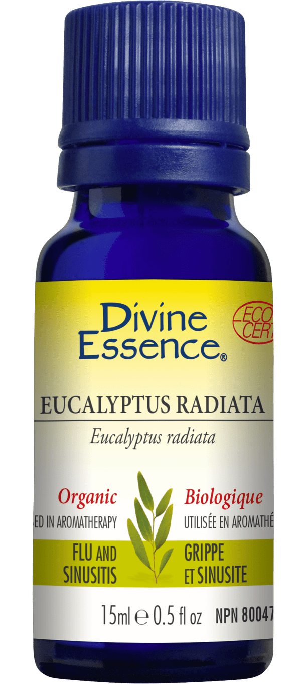 Divine Essence Rosemary Cineole Type 15 ml
