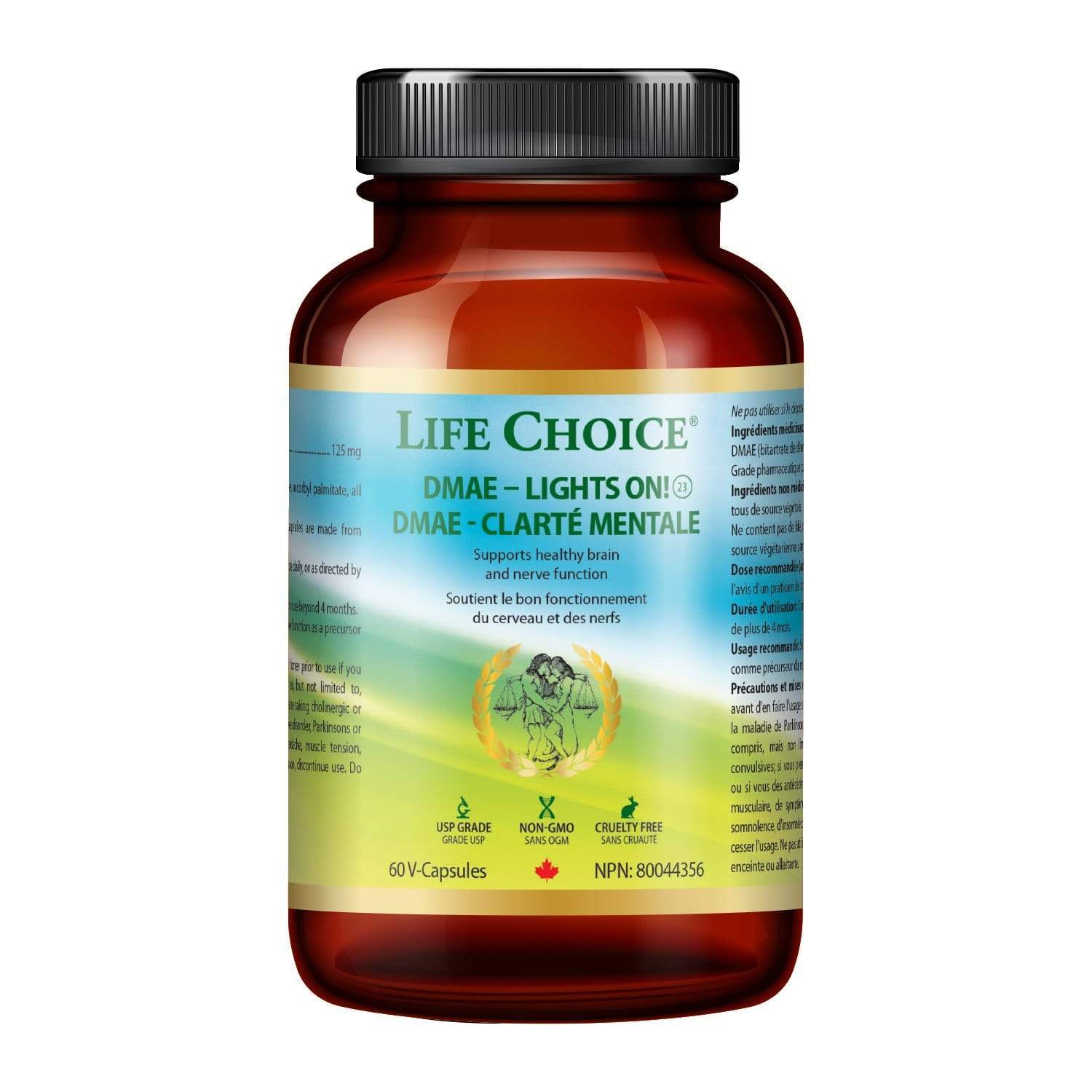 Life Choice DMAE - Lights On
