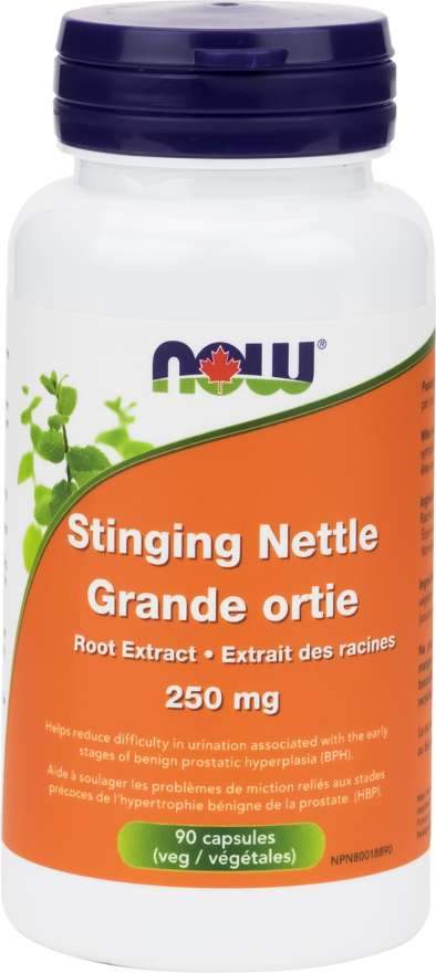 NOW Stinging Nettle Root Extract 250 mg 90 Capsules
