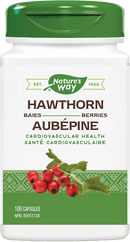 네이처스 웨이 산사나무 열매