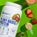 Leanfit Organic Plant-Based Protein Chocolate