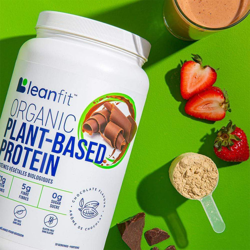 Leanfit 유기농 식물성 단백질 초콜릿