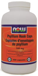 NOW 차전자피 500mg 500캡슐