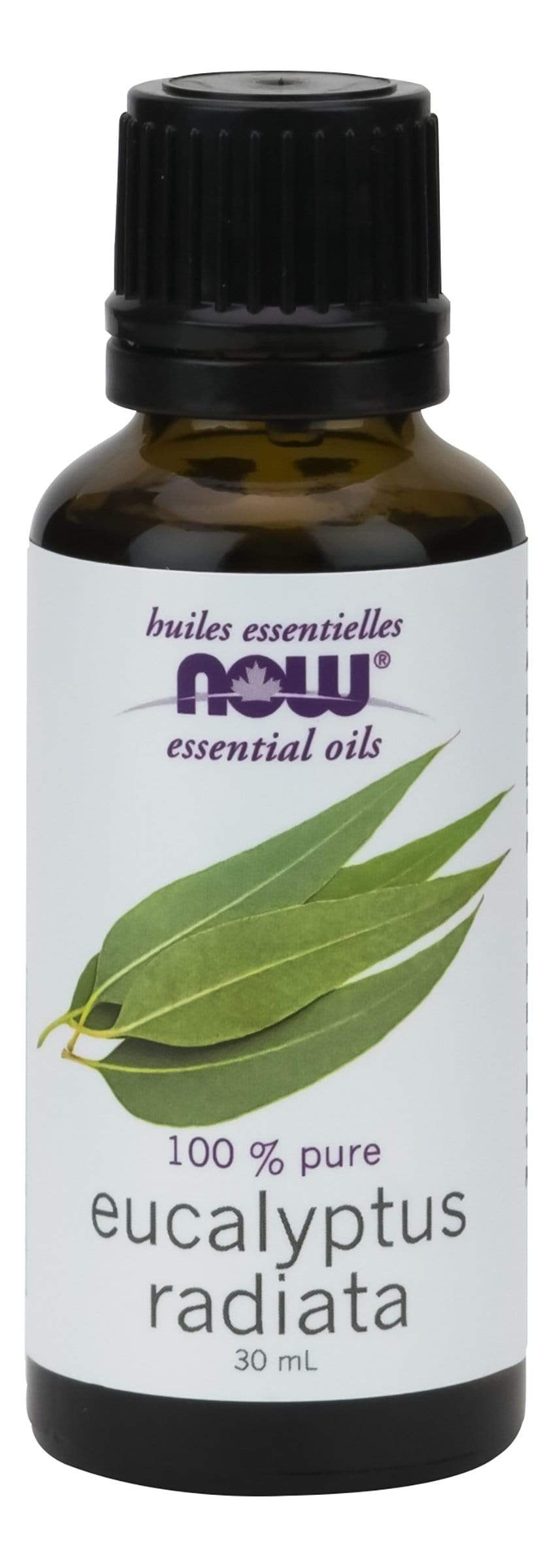 NOW Eucalyptus Radiata Oil