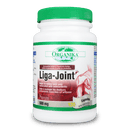 Organika LIGA-JOINT- MEGA 850MG 120 캡슐