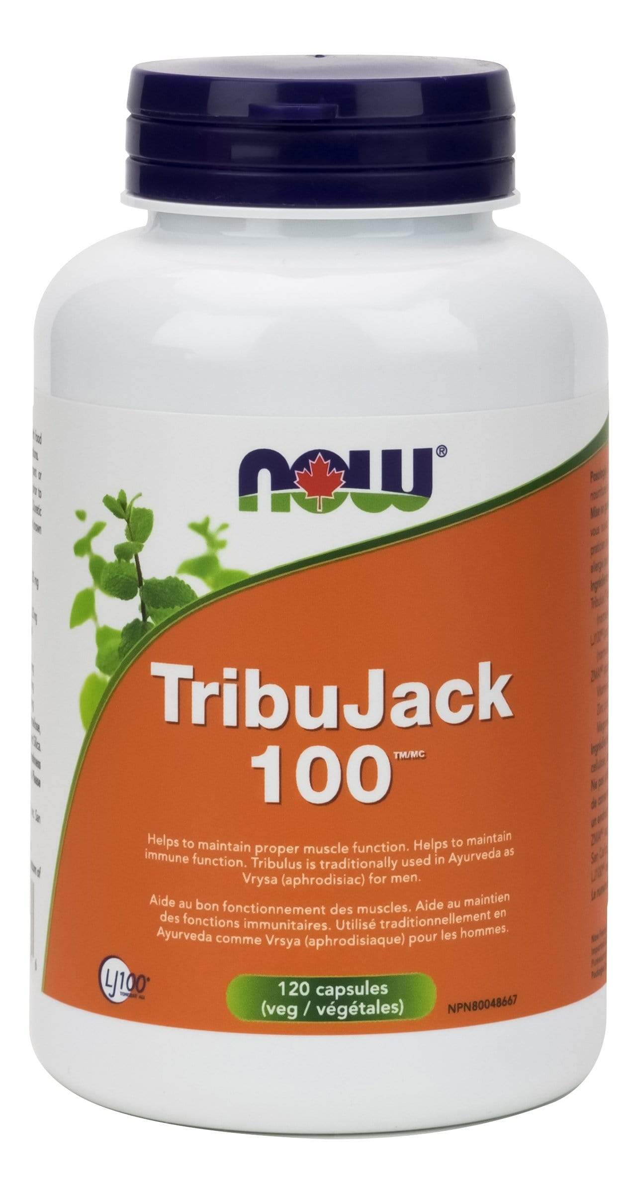 NOW TribuJack 100 with Lj100 Longjack and Zma 120 V-Caps