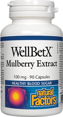 내추럴 팩터스 WellBetX 멀베리 추출물 100mg, 90캡슐