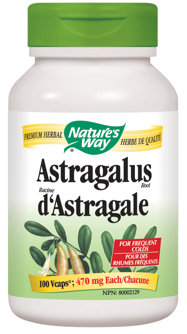 Nature's Way Astragalus Root