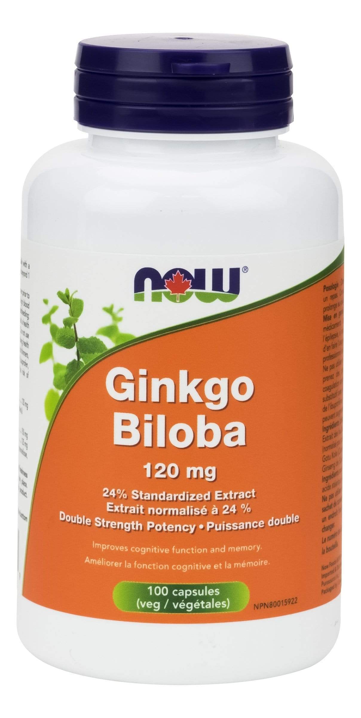 NOW Ginkgo Biloba 120 mg