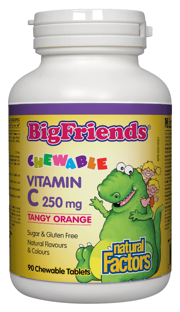 Natural Factors Big Friends Vitamin C 250 mg Tangy Orange 90 Chewable Tablets