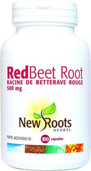 جذور جديدة جذر البنجر الأحمر