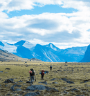 CanPrev 비타민 D3 드롭 1000IU -비건
