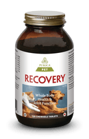 퓨리카 펫 리커버리 120 츄어블 정제