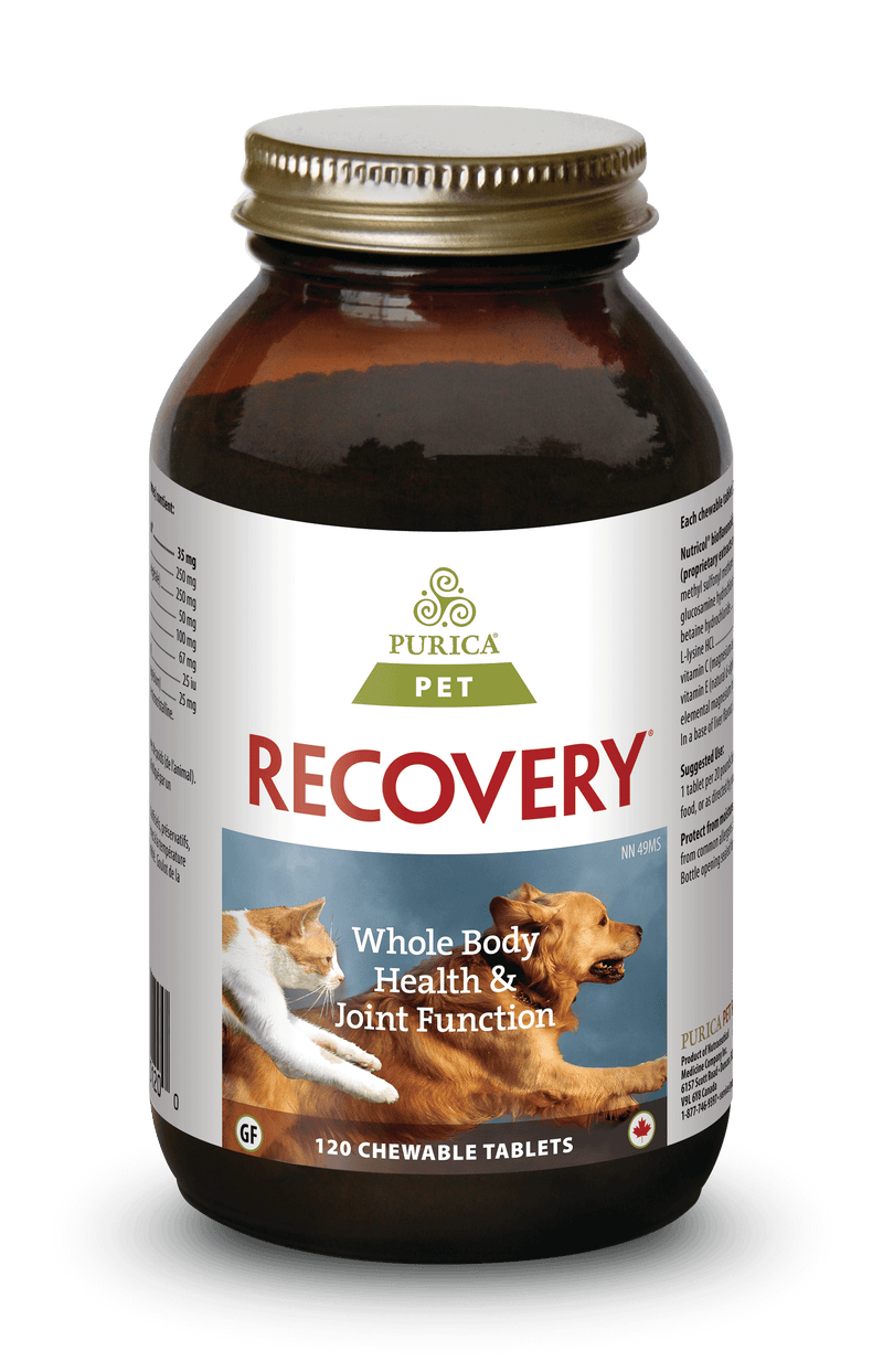 Purica Pet Recovery 120 Chewable Tablets