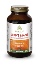 퓨리카 라이온스 갈기 메모리 지원