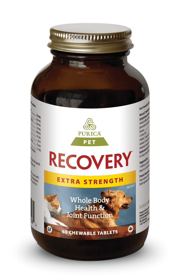 Purica Pet Recovery Strength 60 Chewable Tablets
